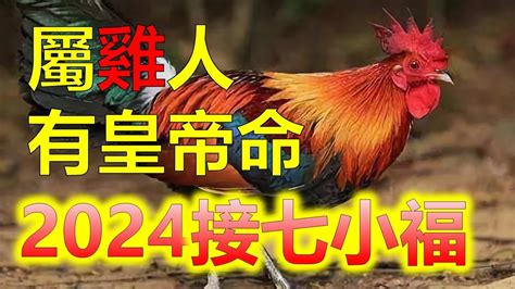 屬雞的年份|屬雞年份｜2024年幾歲？屬雞出生年份+歲數一